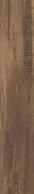 CREATILE WOOD Beechwood Wengue 19,5x120