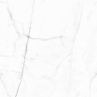 APARICI VIVID White Calacatta  Pulido 59,55x59,55