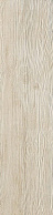 ATLAS CONCORDE ITALY AXI  White Pine 22,5x90