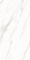 CREATILE WHITES Statuario Shine Matt 60x120
