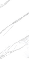 CREATILE WHITES Statuario Snow 60x120